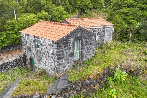 Byhus i Madalena, Pico, Madalena - € 135.000 | Ref: 374260093 - foto 17