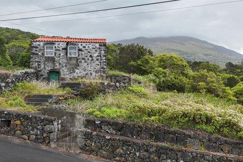 Byhus i Madalena, Pico, Madalena - € 135.000 | Ref: 374260093 - foto 19