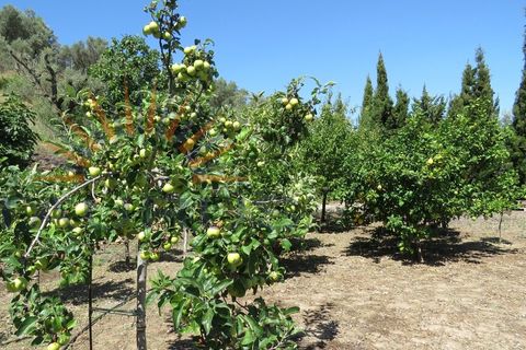 Villa i Torrox, Malaga, Torrox - € 475.000 | Ref: C3971 - foto 30