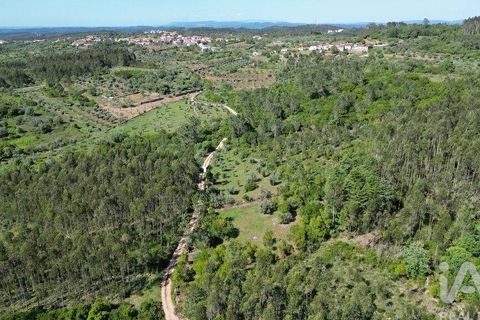 Terra a Ansiao, Leiria, Ansiao - € 14.000 | Ref: 914751 - foto 2