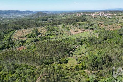 Terra a Ansiao, Leiria, Ansiao - € 14.000 | Ref: 914751 - foto 3