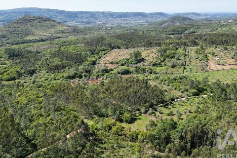 Terra a Ansiao, Leiria, Ansiao - € 14.000 | Ref: 914751 - foto 4