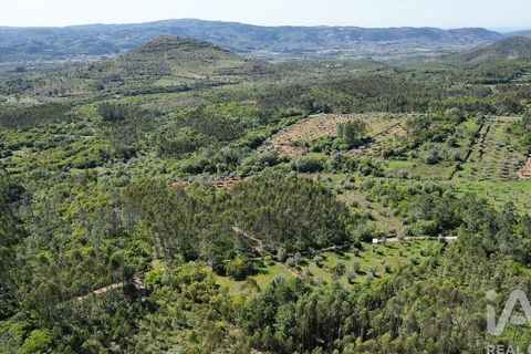Terra a Ansiao, Leiria, Ansiao - € 14.000 | Ref: 914751 - foto 5