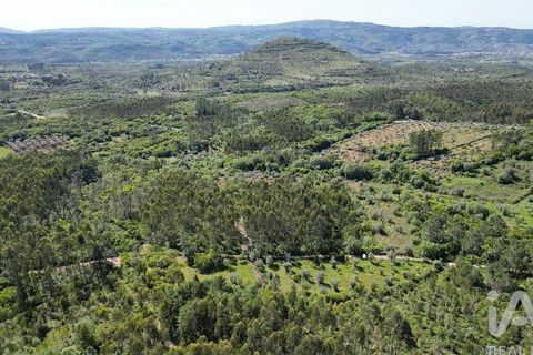 Terra a Ansiao, Leiria, Ansiao - € 14.000 | Ref: 914751 - foto 6