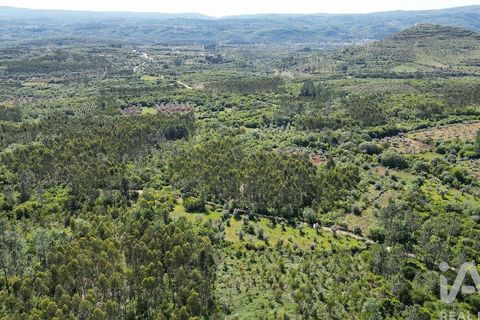 Terra a Ansiao, Leiria, Ansiao - € 14.000 | Ref: 914751 - foto 7
