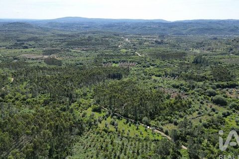 Terra a Ansiao, Leiria, Ansiao - € 14.000 | Ref: 914751 - foto 8