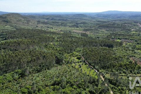 Terra a Ansiao, Leiria, Ansiao - € 14.000 | Ref: 914751 - foto 9