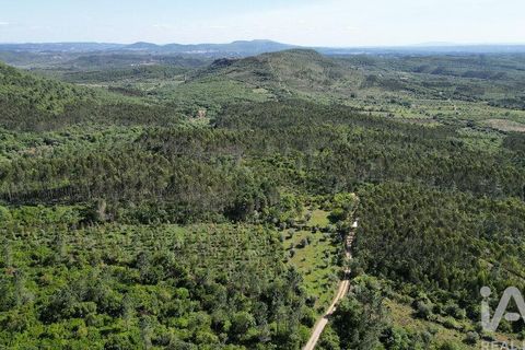 Terra a Ansiao, Leiria, Ansiao - € 14.000 | Ref: 914751 - foto 10