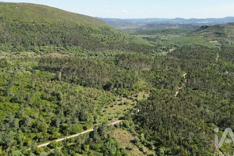 Terra a Ansiao, Leiria, Ansiao - € 14.000 | Ref: 914751 - foto 11