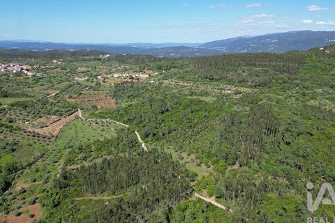 Terra a Ansiao, Leiria, Ansiao - € 14.000 | Ref: 914751 - foto 12