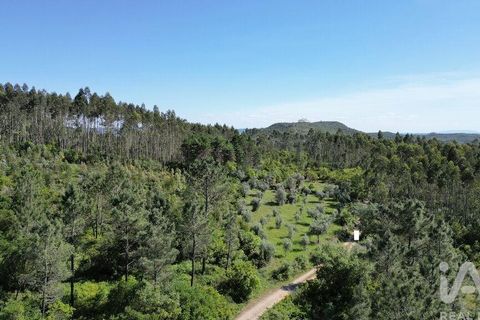 Terra a Ansiao, Leiria, Ansiao - € 14.000 | Ref: 914751 - foto 13
