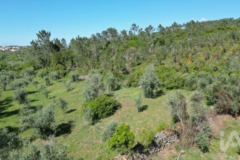 Terra a Ansiao, Leiria, Ansiao - € 14.000 | Ref: 914751 - foto 19