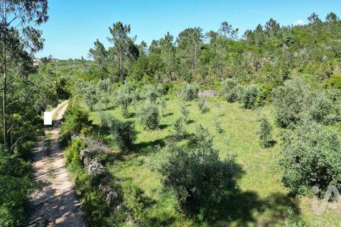 Terra a Ansiao, Leiria, Ansiao - € 14.000 | Ref: 914751 - foto 20