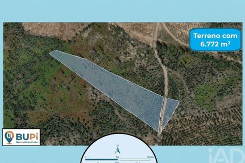 Helårsgrund i Ourem, Santarem, Ourem - € 15.000 | Ref: 907719 - foto 3