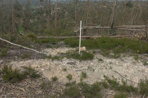 Helårsgrund i Ourem, Santarem, Ourem - € 15.000 | Ref: 907719 - foto 7