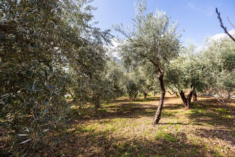 Villa a Guejar Sierra, Granada, Guejar Sierra - € 399.900 | Ref: GR3990/8251 - foto 30