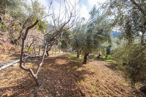 Villa a Guejar Sierra, Granada, Guejar Sierra - € 399.900 | Ref: GR3990/8251 - foto 32