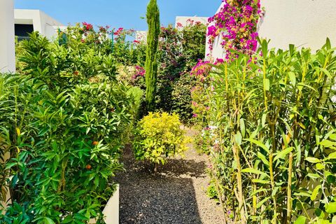 Villa a Algorfa, Alicante, Algorfa - € 630.000 | Ref: MLSC8708128 - foto 13