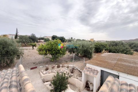 Landejendom i Arboleas, Almeria, Arboleas - € 199.995 | Ref: 2125 - foto 21