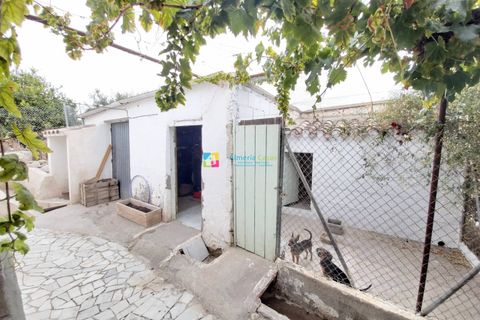 Landejendom i Arboleas, Almeria, Arboleas - € 199.995 | Ref: 2125 - foto 29