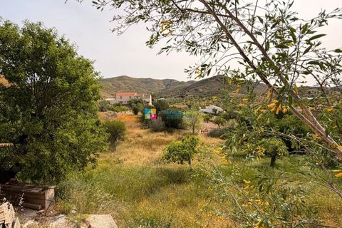 Landejendom i Lubrin, Almeria, Lubrin - € 125.000 | Ref: 2927 - foto 3