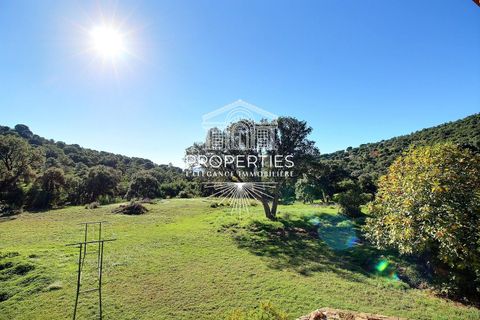 Villa a Le Lavandou, Var, Le Lavandou - € 1.690.000 | Ref: HH-16166098 - foto 16