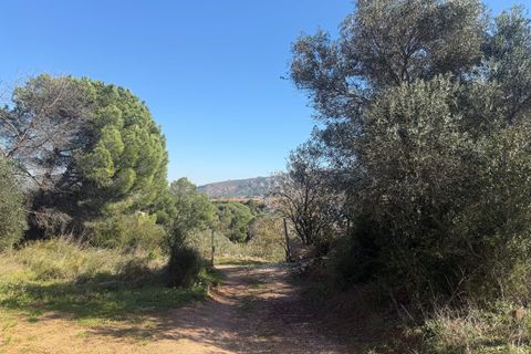 Terra a Barcelona, Barcelona, Barcelona - € 175.000 | Ref: 827472 - foto 4