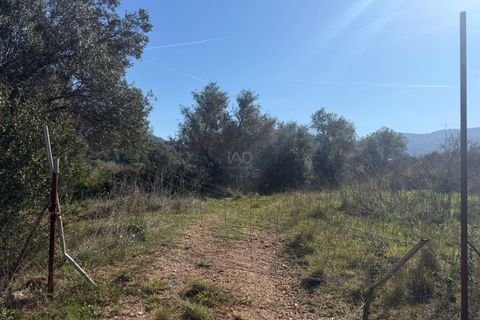 Terra a Barcelona, Barcelona, Barcelona - € 175.000 | Ref: 827472 - foto 6