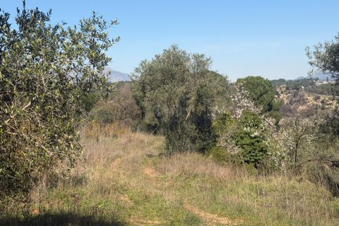 Terra a Barcelona, Barcelona, Barcelona - € 175.000 | Ref: 827472 - foto 9
