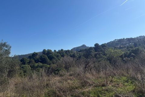 Terra a Barcelona, Barcelona, Barcelona - € 175.000 | Ref: 827472 - foto 12