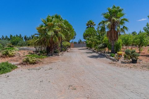 Herregård i Inca, Mallorca, Inca - € 2 199 000 | Ref: 08JT035/10961 - foto 14