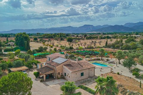 Herregård i Inca, Mallorca, Inca - € 2 199 000 | Ref: 08JT035/10961 - foto 42
