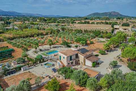 Herregård i Inca, Mallorca, Inca - € 2 199 000 | Ref: 08JT035/10961 - foto 43
