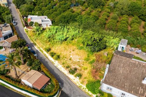 Helårsgrund i Tavira, Faro, Tavira - € 250.000 | Ref: FC084TVW - foto 5