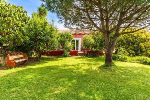Villa i Monchique, Faro, Monchique - € 1.250.000 | Ref: SVP2565A - foto 29