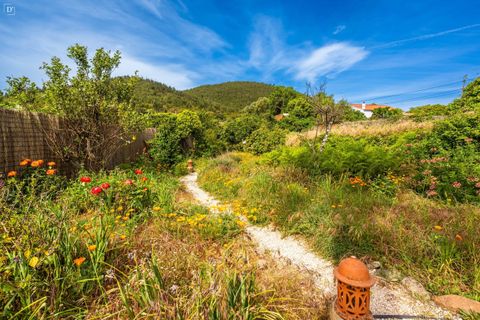 Villa i Monchique, Faro, Monchique - € 1.250.000 | Ref: SVP2565A - foto 33