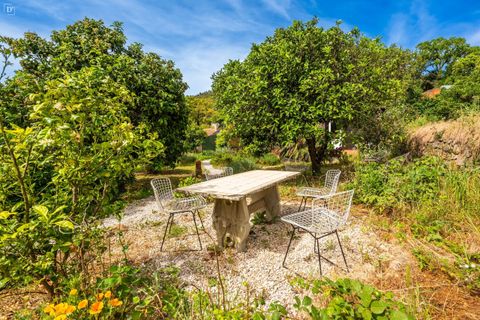 Villa i Monchique, Faro, Monchique - € 1.250.000 | Ref: SVP2565A - foto 34