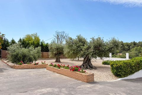 Villa a Turis, Valencia, Turis - € 380.000 | Ref: 0260304 - foto 8