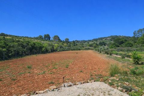 Landejendom i Chella, Valencia, Chella - € 264.000 | Ref: EB15247 - foto 9