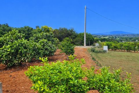 Landejendom i Chella, Valencia, Chella - € 264.000 | Ref: EB15247 - foto 38