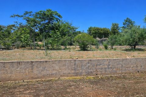 Landejendom i Chella, Valencia, Chella - € 264.000 | Ref: EB15247 - foto 43