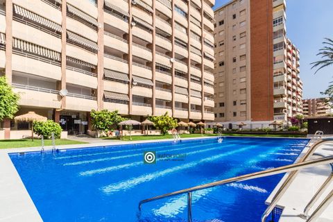 Landejendom i Almunecar, Granada, Almunecar - € 289.000 | Ref: 260512 - foto 37