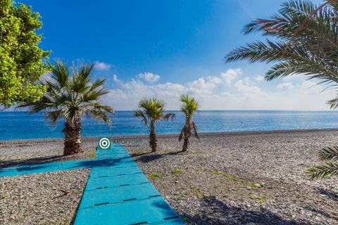 Landejendom i Almunecar, Granada, Almunecar - € 289.000 | Ref: 260512 - foto 44