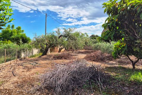 Villa i Ontinyent, Valencia, Ontinyent - € 150.000 | Ref: LOSDH3553 - foto 13