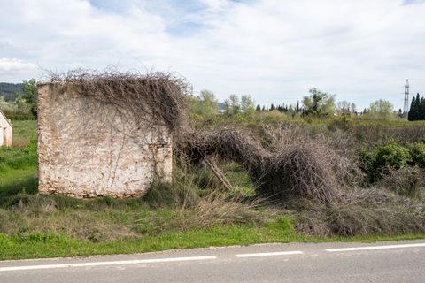 Finca i Tortosa, Tarragona, Tortosa - € 20.000 | Ref: 363 - foto 5