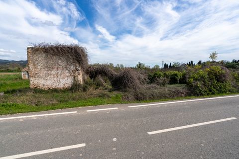 Finca i Tortosa, Tarragona, Tortosa - € 20.000 | Ref: 363 - foto 10