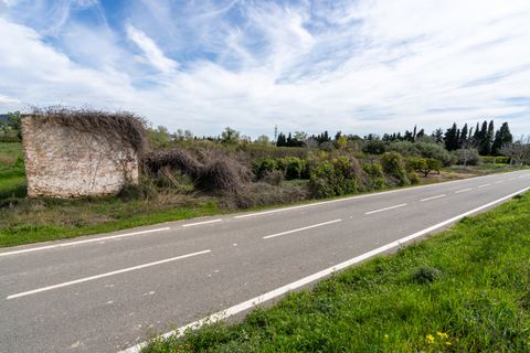 Finca i Tortosa, Tarragona, Tortosa - € 20.000 | Ref: 363 - foto 6