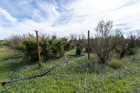 Finca i Tortosa, Tarragona, Tortosa - € 20.000 | Ref: 363 - foto 2
