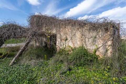 Finca i Tortosa, Tarragona, Tortosa - € 20.000 | Ref: 363 - foto 3