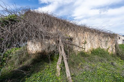 Finca i Tortosa, Tarragona, Tortosa - € 20.000 | Ref: 363 - foto 4